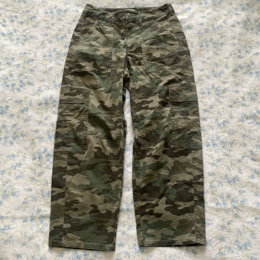 Universal Thread Green and Brown Cargo Pants